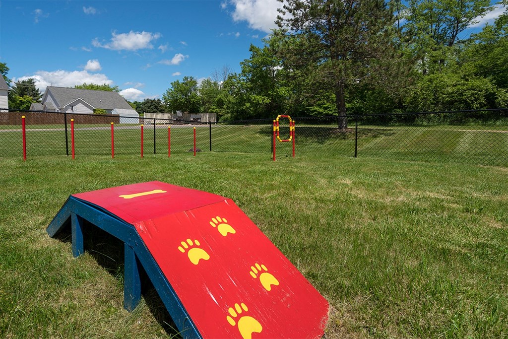 dog park with agility equipment