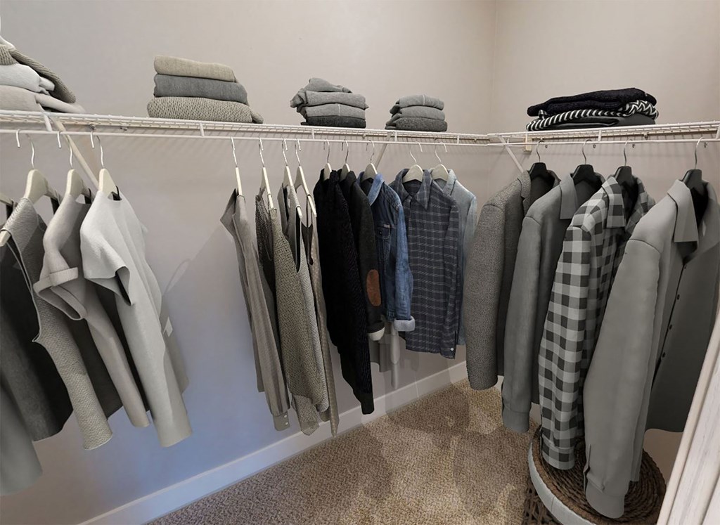 Brixin Franklin Apartments & Townhomes Closet