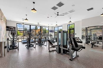 a gym with a lot of exercise equipment and windows