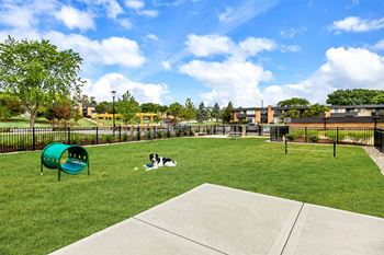 a dog laying on the grass in a dog park
