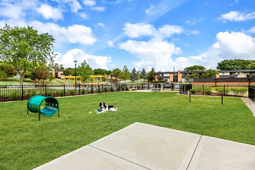 Albion on Northwest Dog Park