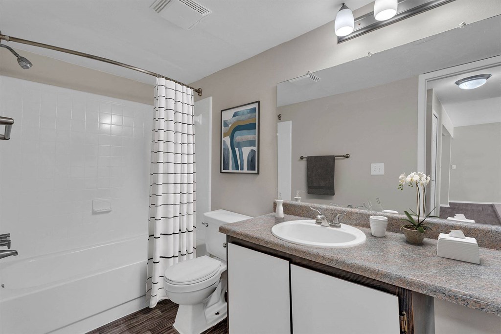 A bathroom with a white toilet, sink, and a shower.