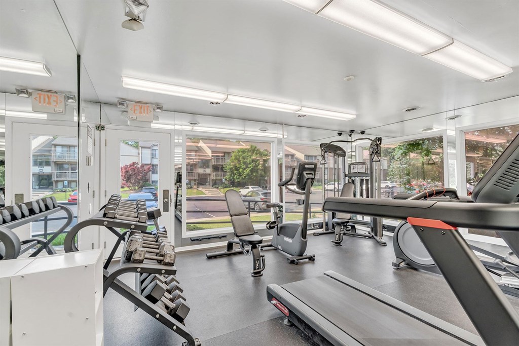 A gym with treadmills, weights, and exercise equipment.