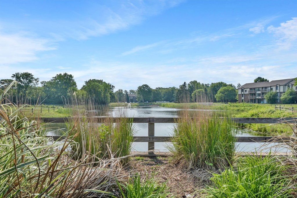 A serene landscape with a pond, grass, and a building in the distance.