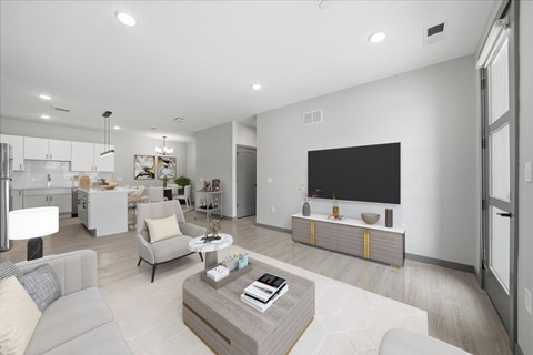 A modern living room with a grey sofa, a coffee table, and a television.