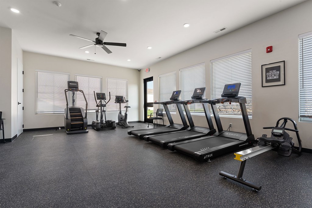 A gym with treadmills, elliptical machines, and a fan.