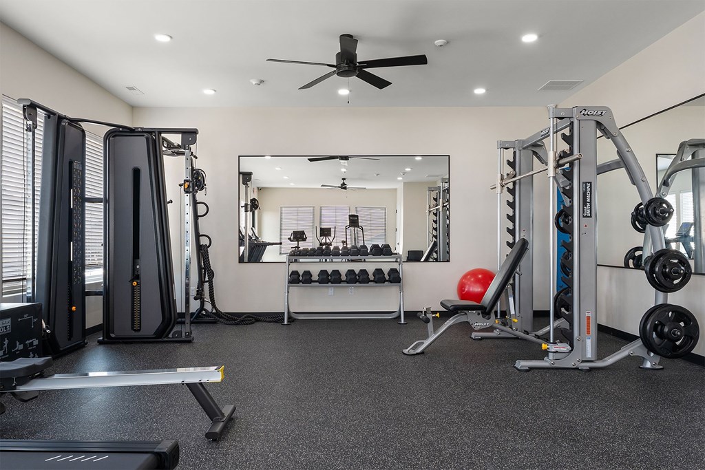A well-equipped home gym with a variety of exercise machines.
