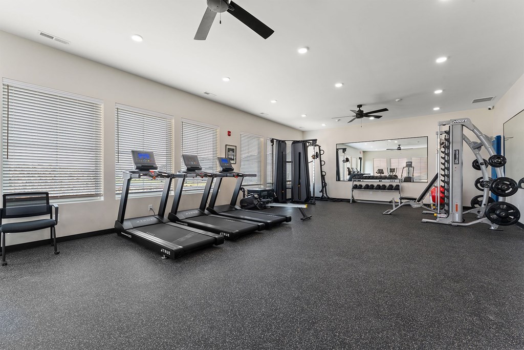 A spacious gym with treadmills, weights, and a mirror.