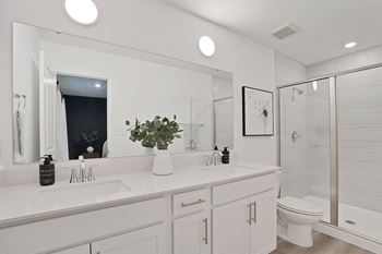 A white bathroom with a large mirror and a plant on the counter.