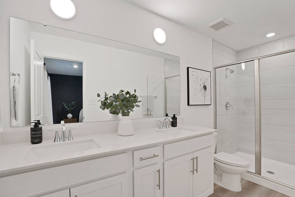 A white bathroom with a large mirror and a plant on the counter.