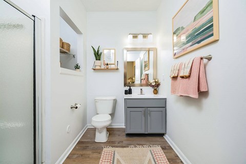 a bathroom with a toilet and a sink and a mirror
