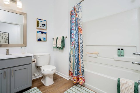 a bathroom with a toilet and a bath tub