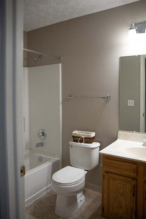 A white toilet sits next to a sink in a bathroom.