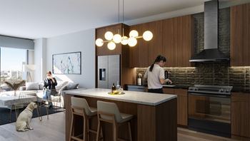 a rendering of a kitchen and living room with a dog