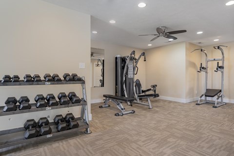 A well-equipped gym with a variety of exercise equipment.