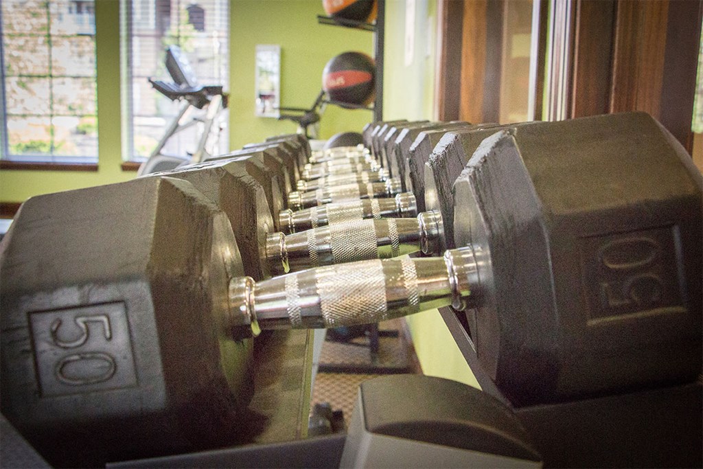 canon club at perry crossing apartments fitness center dumbbells