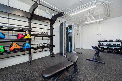 A gym with a bench, weights, and a row of dumbbells.