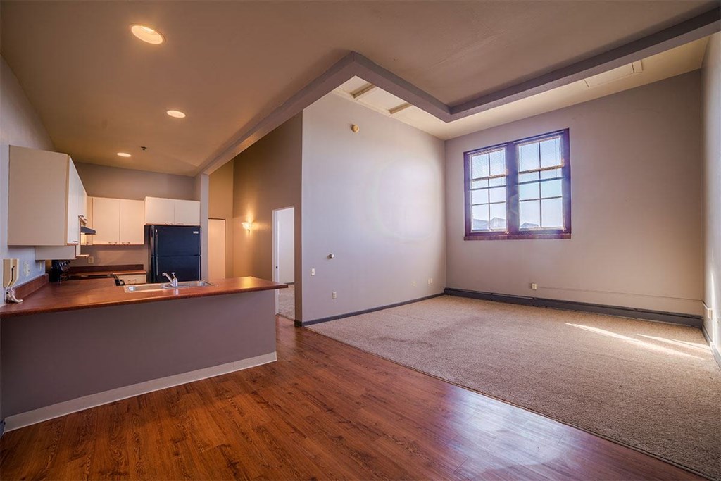 Central High & Stephenson Mills Apartments, 330 W Colfax Ave, South