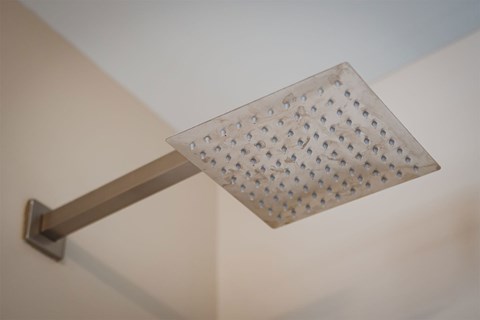 A shower head mounted on a wall.
