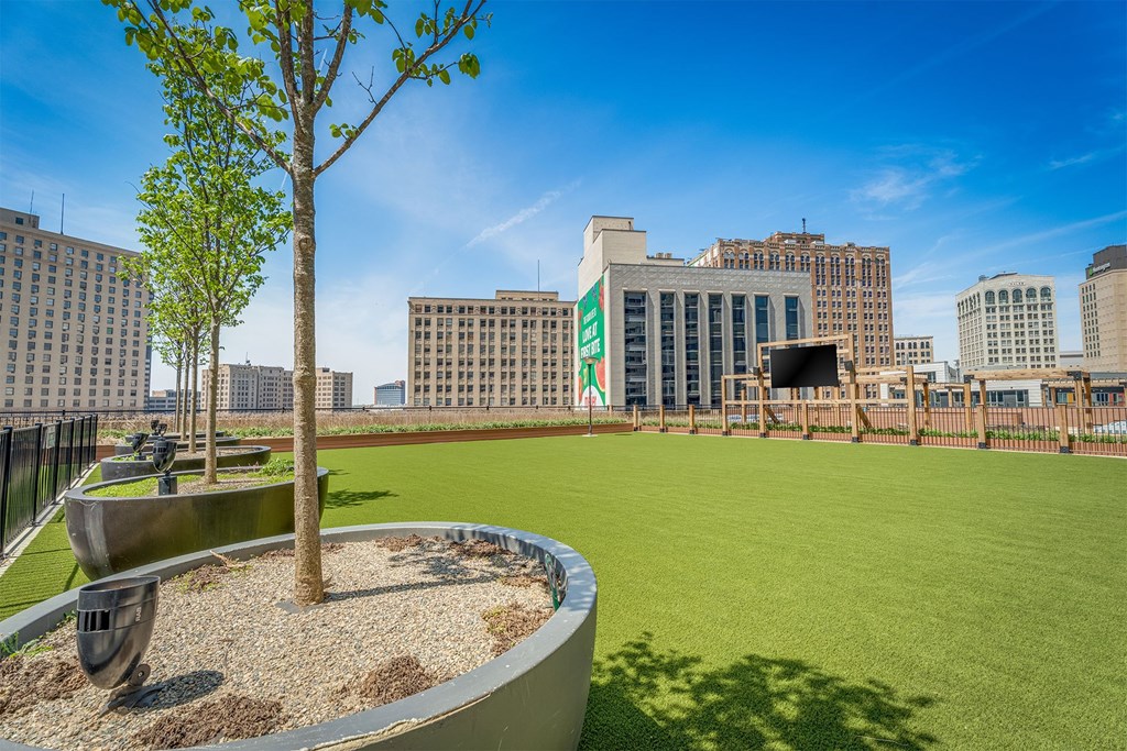 A tree in a planter is the only object in the foreground of this image.