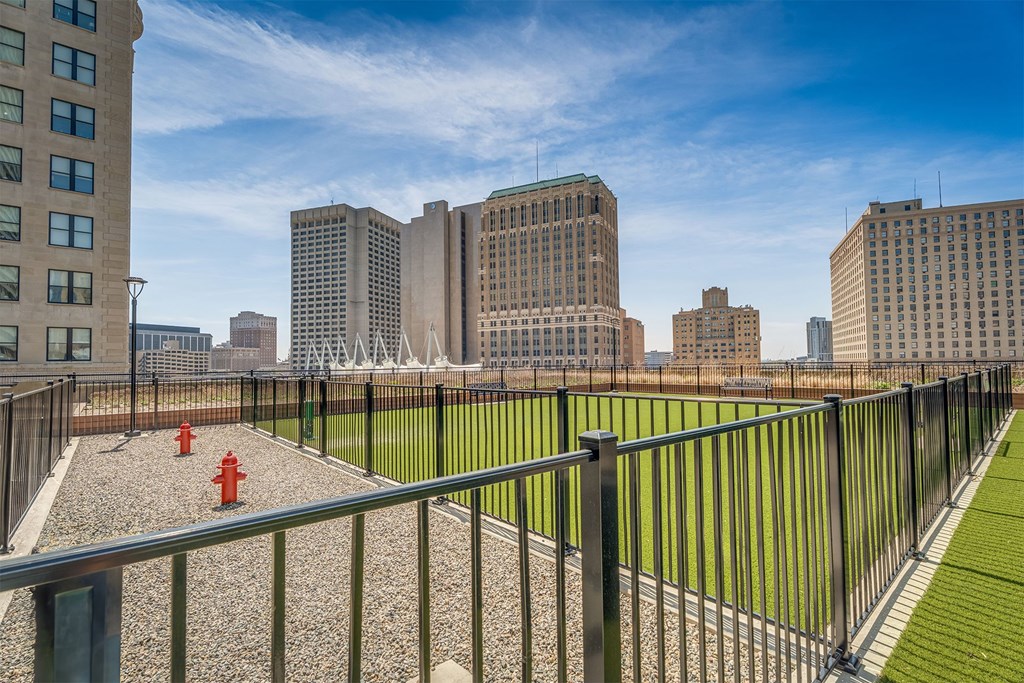 A cityscape with a fence and grassy area in the foreground.