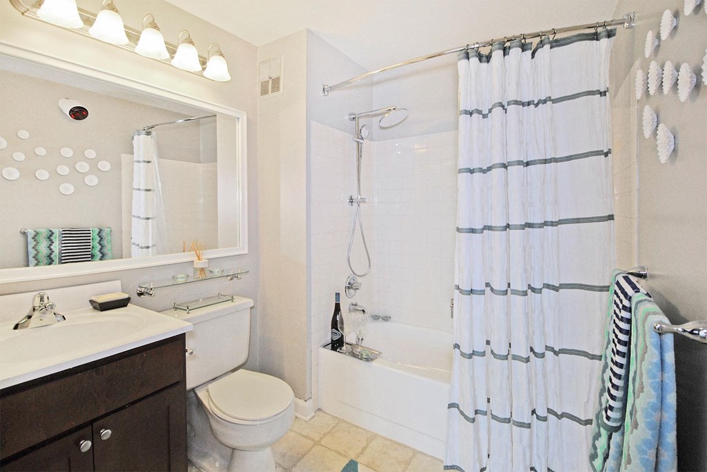 a bathroom with a shower toilet and sink and a mirror