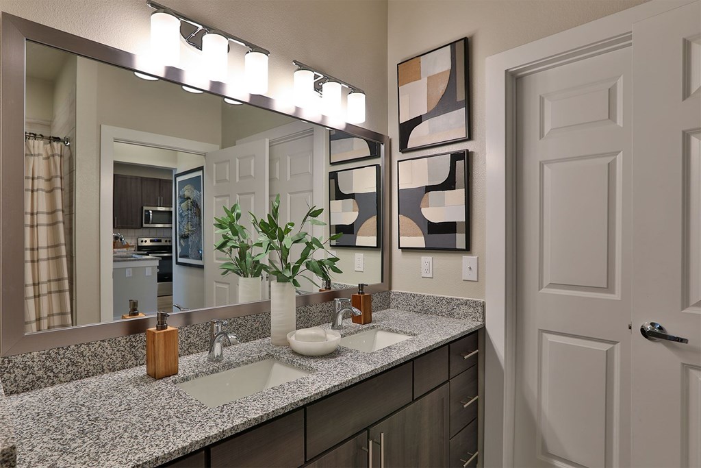 A bathroom with a vanity, a mirror, and a plant.