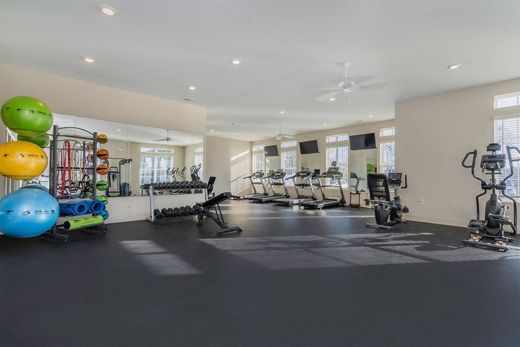 A spacious gym with various exercise equipment and fitness balls.
