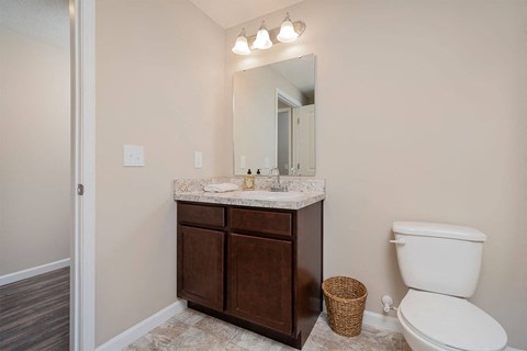 A bathroom with a white toilet, a brown cabinet, and a mirror above the sink.