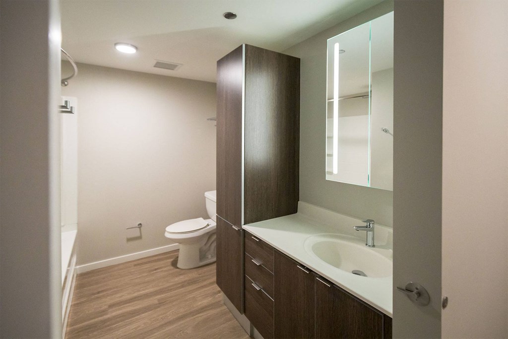a bathroom with a sink and a toilet