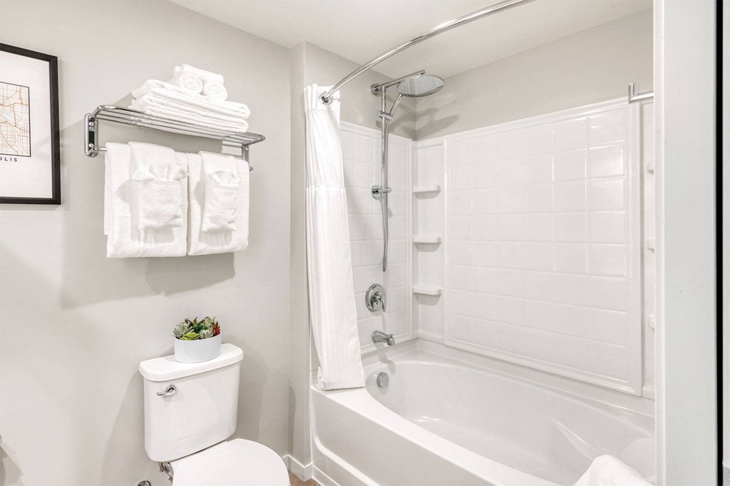 a bathroom with a shower and a toilet and a sink