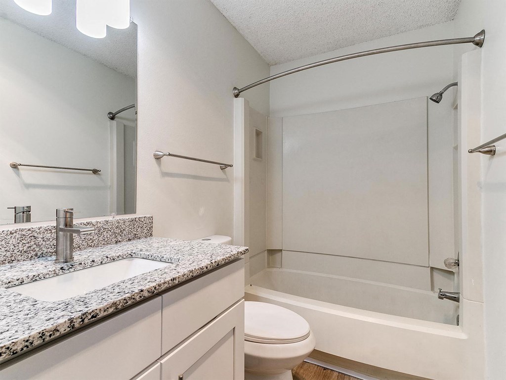 a bathroom with a sink and a shower and a toilet