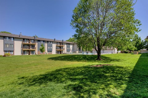 a large lawn with a tree in front of an apartment building