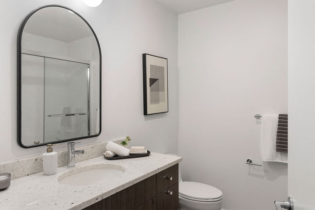 a bathroom with a sink and a mirror and a toilet