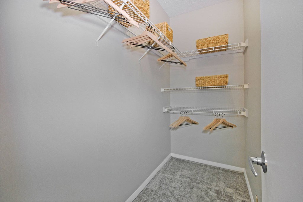 spacious walk in closet