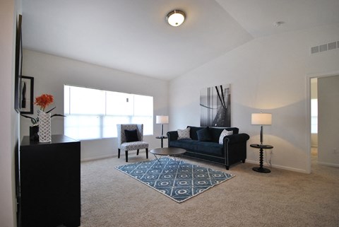 A living room with a black couch, a chair, and a rug.