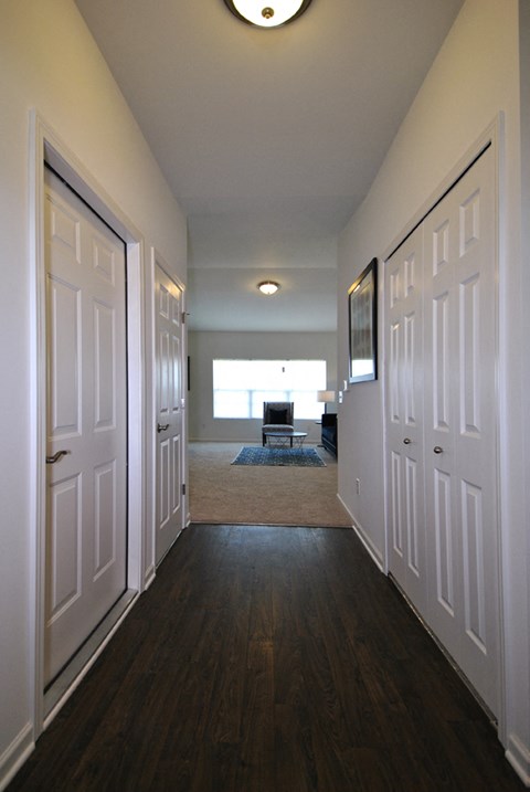 A hallway with white doors and a rug on the floor.