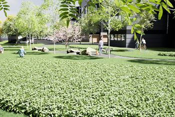 an artist impression of a park with grass and trees