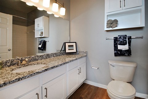 fairlane town center apartments bathroom