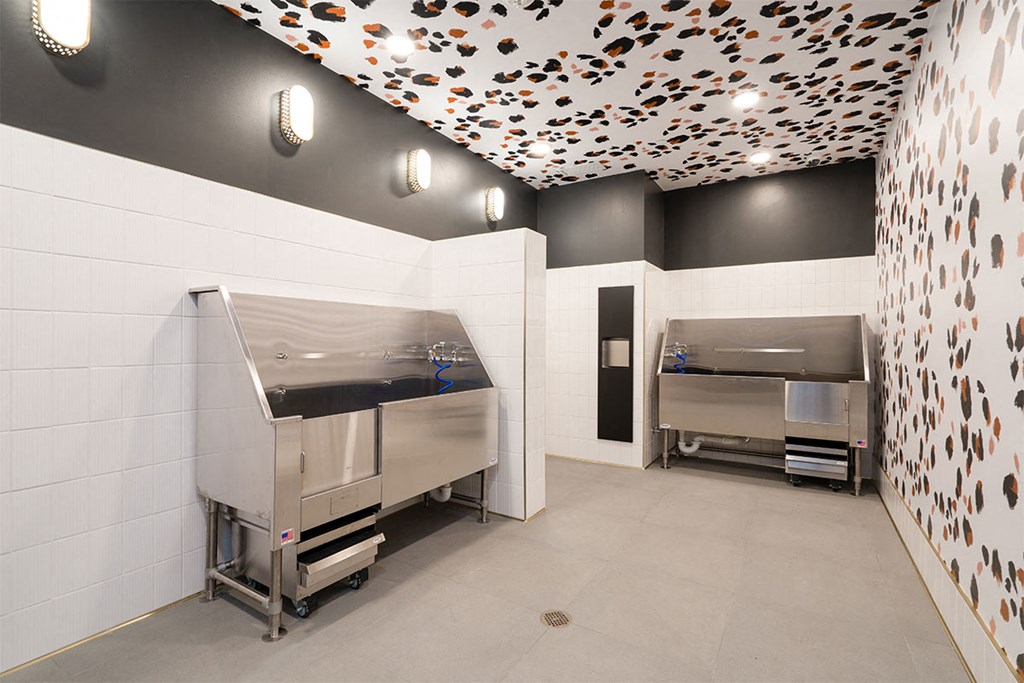 forte on the park apartments community pet spa