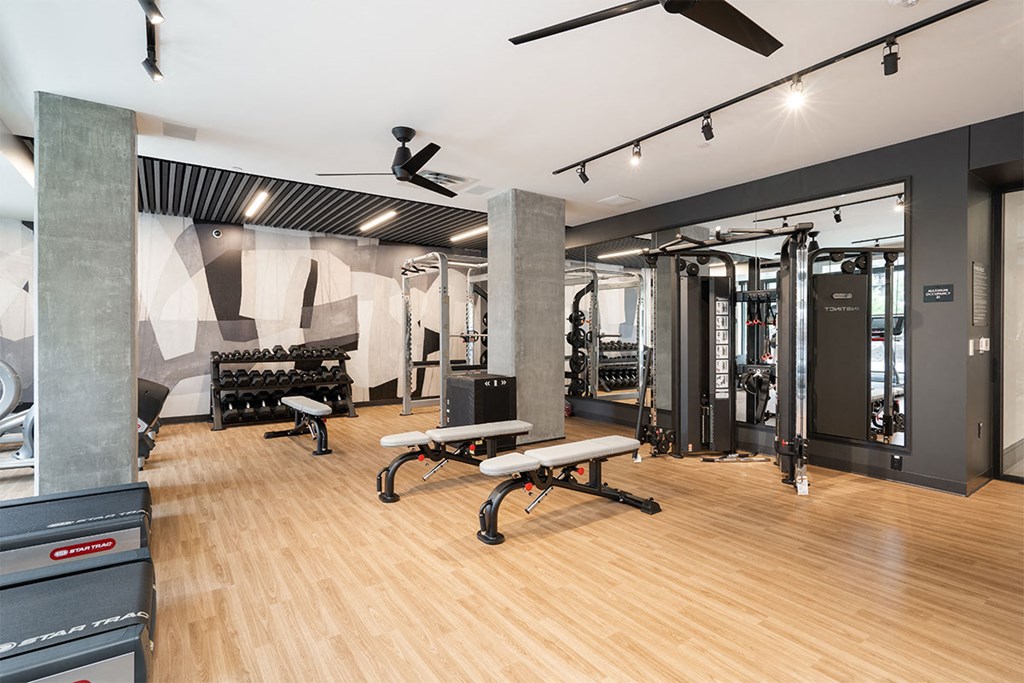 forte on the park apartments fitness center