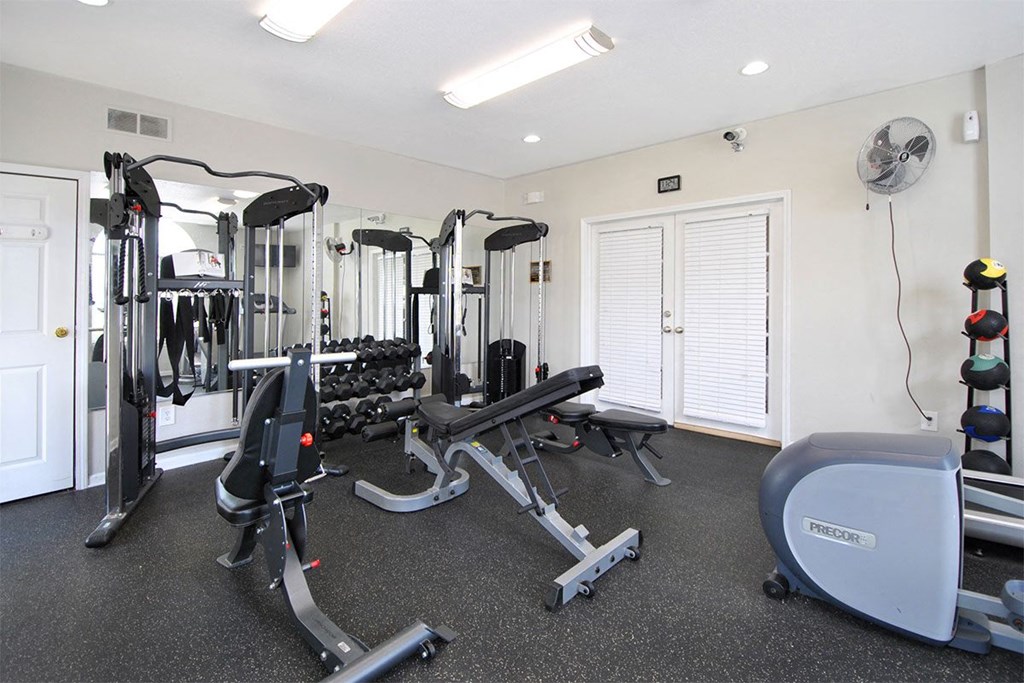 A gym with a variety of equipment including treadmills, weights, and a rowing machine.