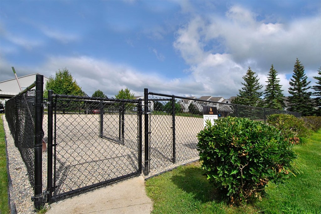 A black metal fence with a gate is in front of a green bush.