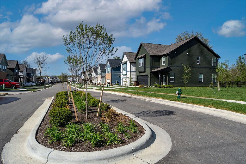 A tree in a landscaped planter is in the foreground of a residential street.