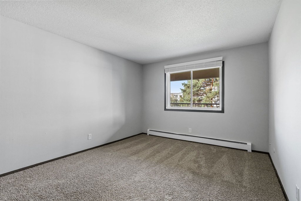 A room with a carpeted floor and a window showing a tree outside.