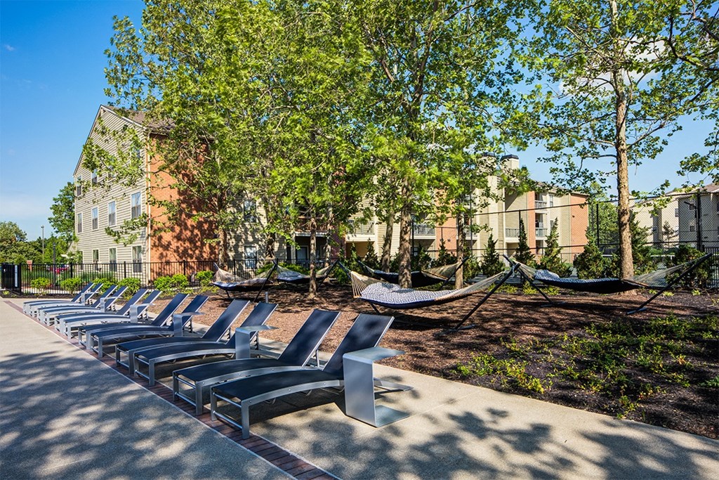 a row of lounge chairs and hammocks in front of buildings and trees