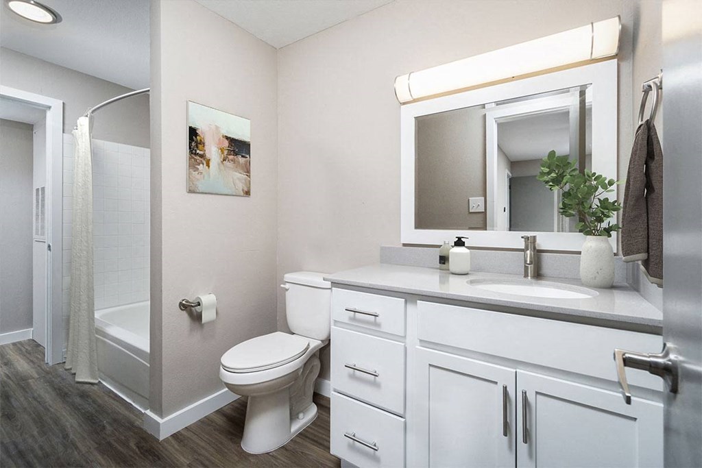 a bathroom with a sink toilet and a shower