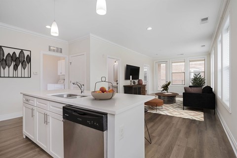 A modern kitchen with a dishwasher and a bowl of fruit on the counter.