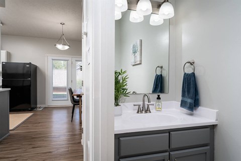 a bathroom with a sink and a mirror