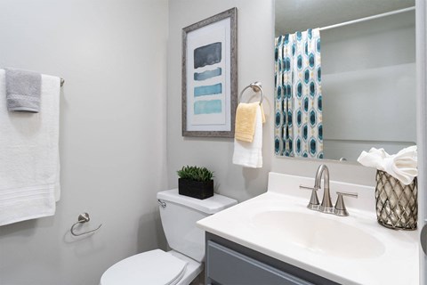 a bathroom with a sink toilet and a mirror
